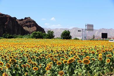 水雷公布单人回合制策略游戏《地球vs火星》