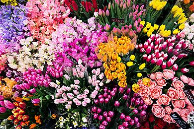 独占游戏不敢秀 微软缺席TGA真正原因或遭曝光